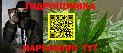 СК Обь