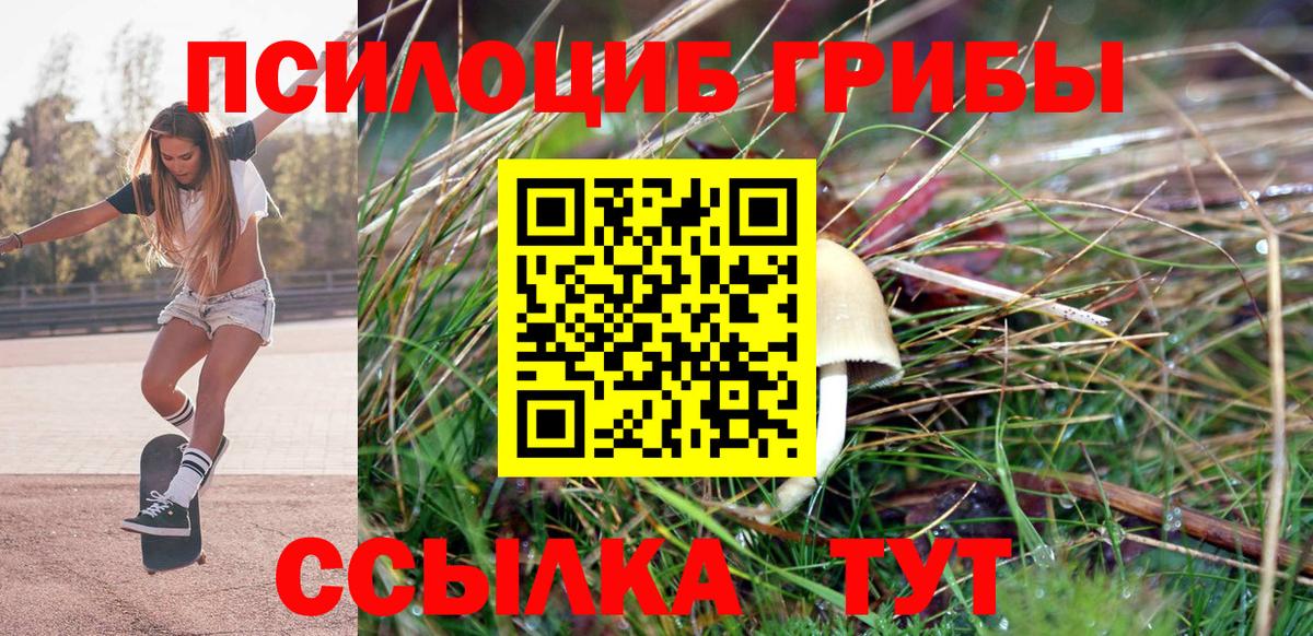 Псилоцибиновые грибы прущие грибы  Псилоцибиновые грибы Magic Shrooms  Вход с VPN  Петрозаводск 